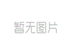 新加坡世界游泳锦标赛：王宗尤（Wang Zongyuan）